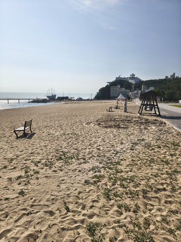 IMG_20260603_082713133_HDR.jpg