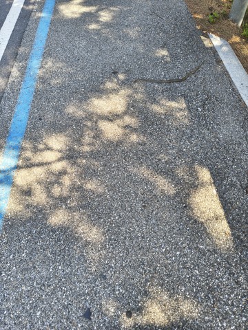 IMG_20260603_085512281_HDR.jpg