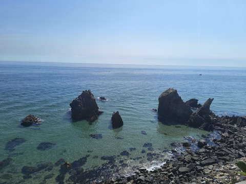 IMG_20260603_094337956.jpg