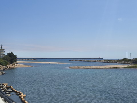 IMG_20260603_103317050.jpg