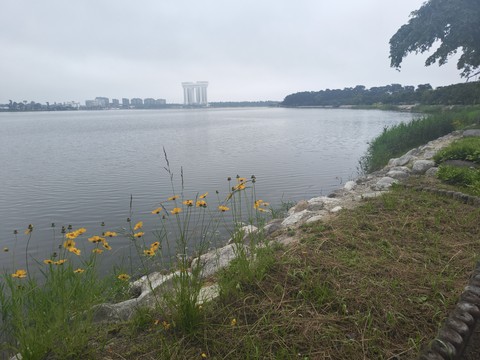 IMG_20260604_110645566.jpg