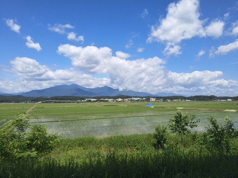 IMG_20260605_102322743.jpg