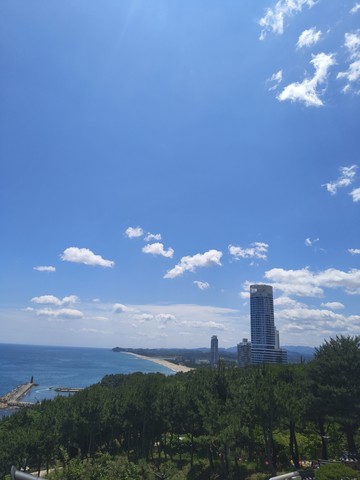 IMG_20260605_114627965.jpg
