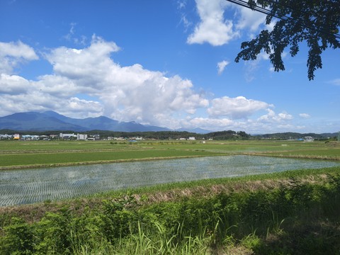 IMG_20260605_102753440.jpg