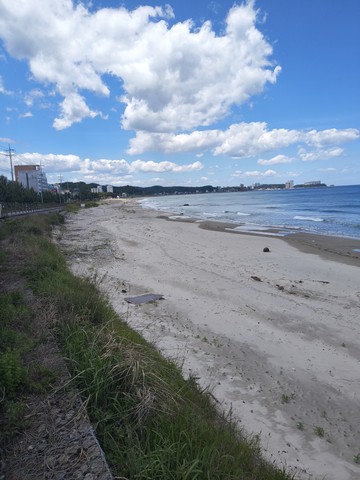 IMG_20260605_123900647.jpg