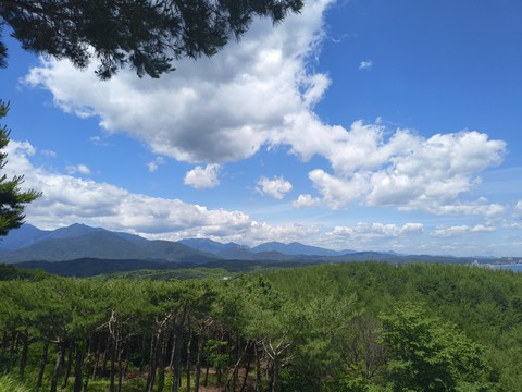 IMG_20260605_114946884.jpg