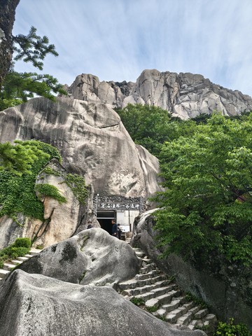 IMG_20260606_093206935_HDR.jpg