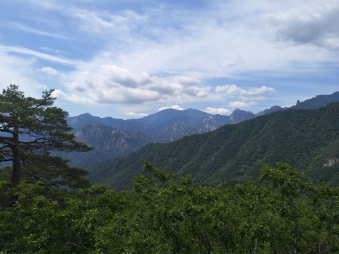 IMG_20260606_101210615.jpg