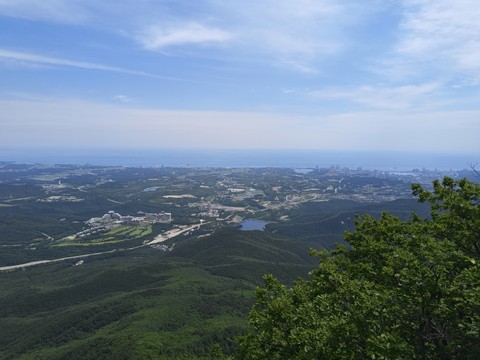 IMG_20260606_105055110.jpg