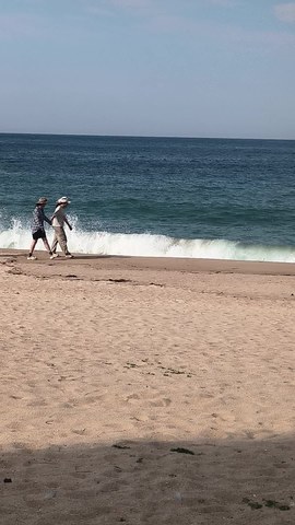 VID_20260606_165310386.mp4