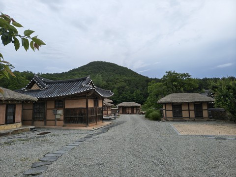 IMG_20260607_114259170_HDR.jpg