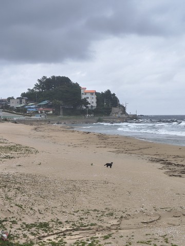 IMG_20260607_190819532_HDR.jpg