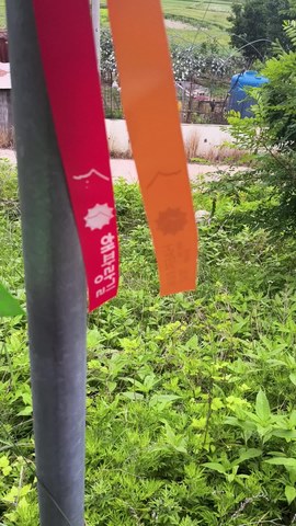 VID_20260607_141348489.mp4