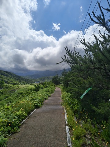 IMG_20260608_141413606_HDR.jpg