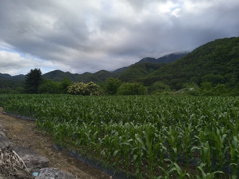 IMG_20260608_175648612.jpg