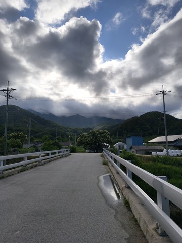 IMG_20260608_170832855.jpg