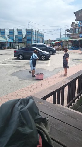 VID_20260608_110950816.mp4