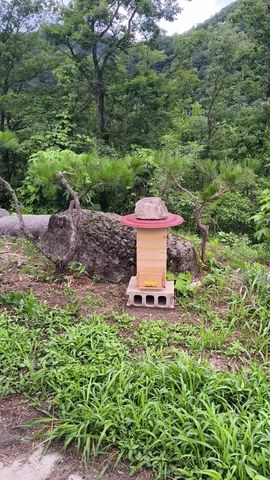 VID_20260608_174216887.mp4