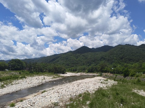 IMG_20260609_115509550.jpg