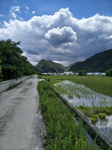 IMG_20260609_133552295_HDR.jpg