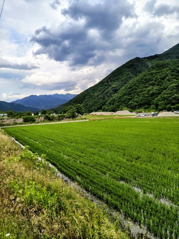 IMG_20260609_164806305_HDR~2.jpg