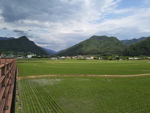 IMG_20260609_155231925.jpg