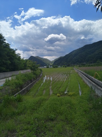 IMG_20260609_133341744.jpg