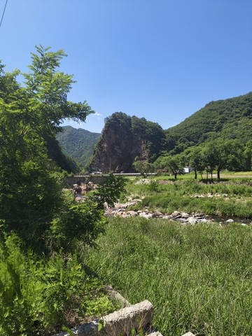 IMG_20260609_102540185.jpg