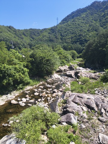 IMG_20260609_101606904.jpg