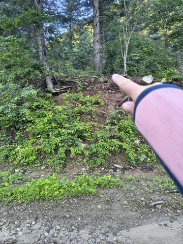 IMG_20260609_060834834_HDR.jpg