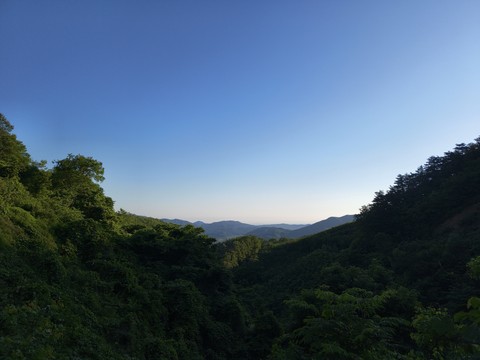 IMG_20260609_063331677.jpg