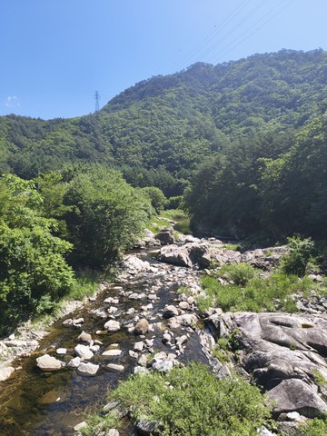 IMG_20260609_101546039.jpg