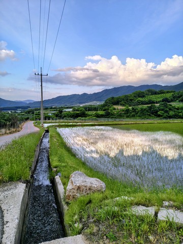 IMG_20260610_190817250_HDR~2.jpg