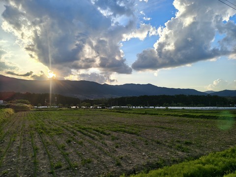 IMG_20260610_184751140_HDR.jpg