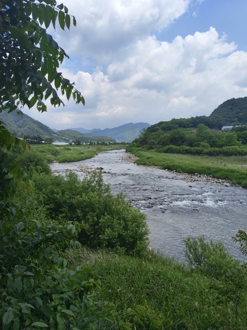 IMG_20260610_115015379.jpg