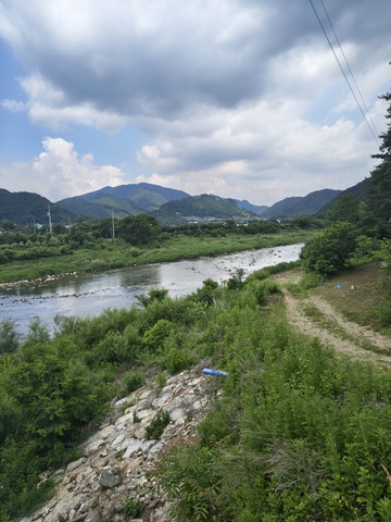 IMG_20260610_110012573_HDR.jpg