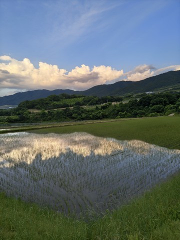 IMG_20260610_190806694_HDR.jpg