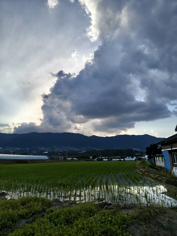 IMG_20260610_183121218_HDR.jpg