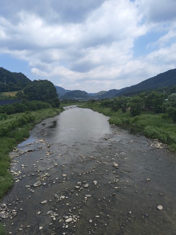 IMG_20260610_104845679.jpg