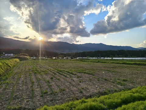 IMG_20260610_184752950_HDR.jpg
