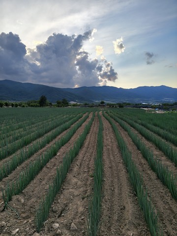 IMG_20260610_190425821_HDR.jpg