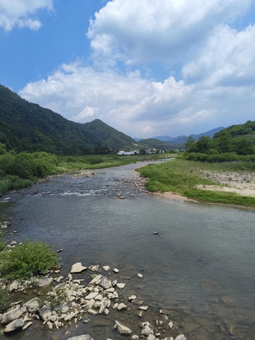 IMG_20260610_114929084.jpg