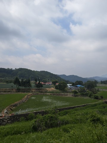 IMG_20260611_094817246_HDR.jpg