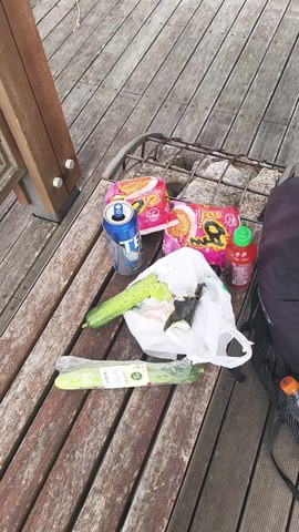 VID_20260611_073558505.mp4