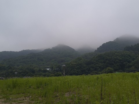 IMG_20260612_060238397.jpg