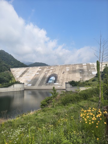 IMG_20260612_082317457_HDR.jpg