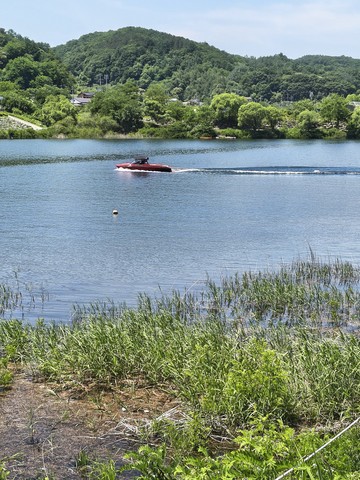IMG_20260613_114029185_HDR.jpg