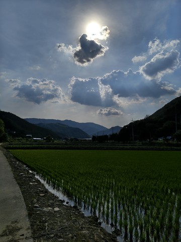 IMG_20260613_163309509_HDR.jpg