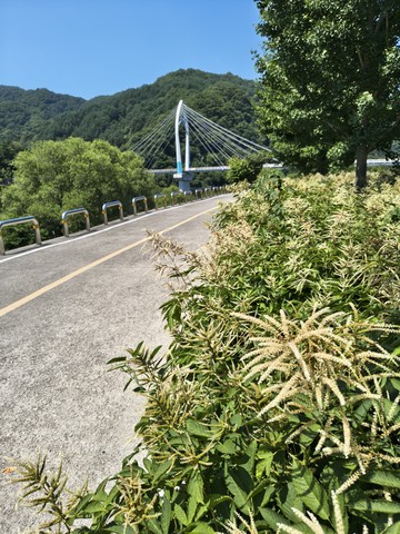 IMG_20260613_110323018_HDR.jpg