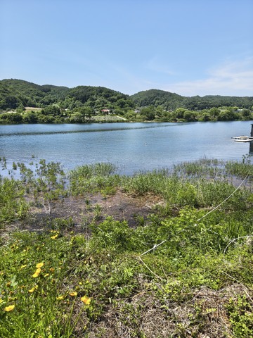 IMG_20260613_114022088_HDR.jpg